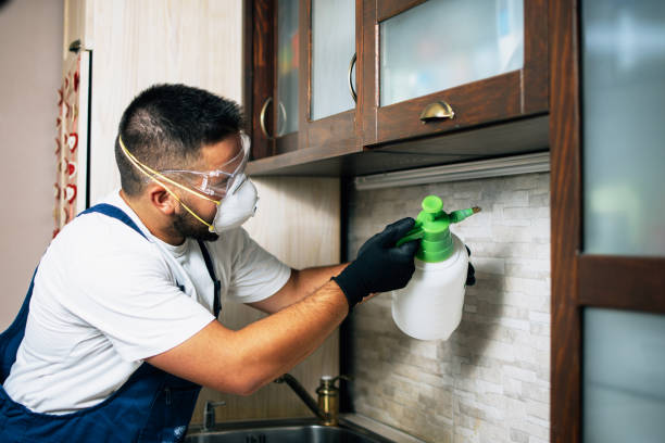 Best Emergency Pest Control  in Rockingham, NC