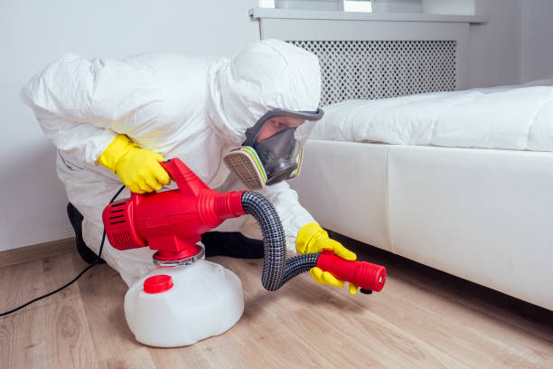 Best Insect Control  in Rockingham, NC