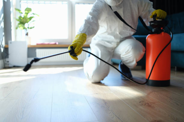 Best Flea Control Services  in Rockingham, NC