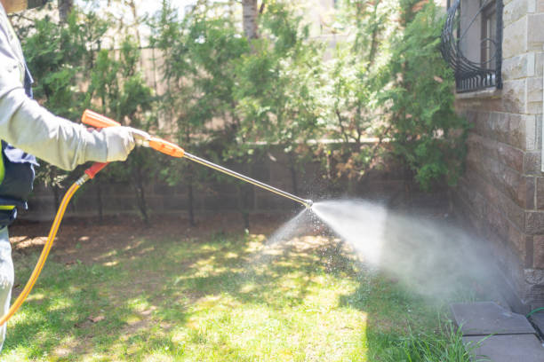 Best Exterminator Services  in Rockingham, NC