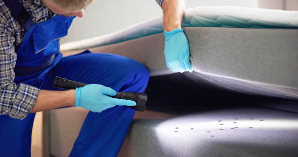 Best Pest Control for Restaurants  in Rockingham, NC