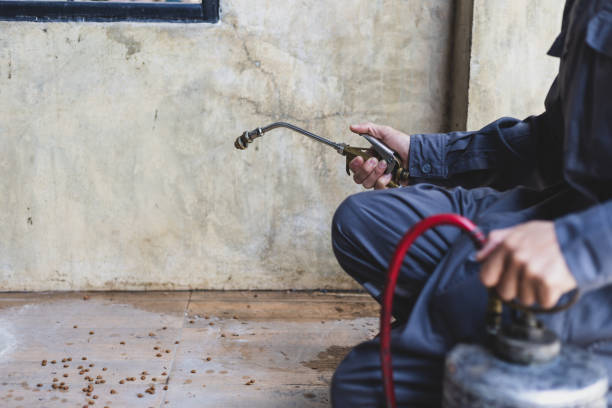 Best Pest Control for Restaurants  in Rockingham, NC